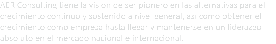 AER Consulting tiene la visión de ser pionero en las alternativas para el crecimiento continuo y sostenido a nivel general, así como obtener el crecimiento como empresa hasta llegar y mantenerse en un liderazgo absoluto en el mercado nacional e internacional. 